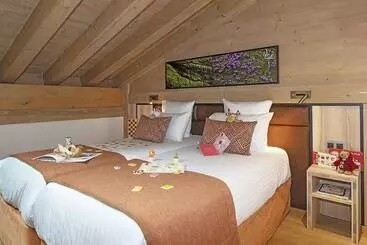 Aparthotel Mgm Hôtels & Résidences Résidence Alpen Lodge