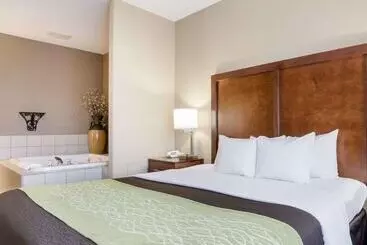 هتل Comfort Inn Garden City