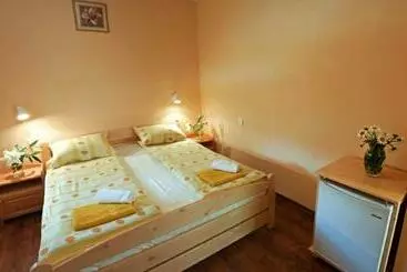 Csatári Pensiune Praid