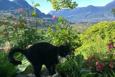 Appartement Tschivon