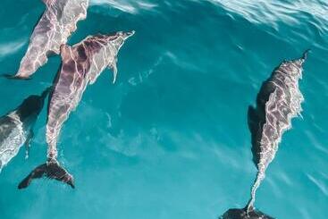 פנסיון Casa Da Praça Guest House