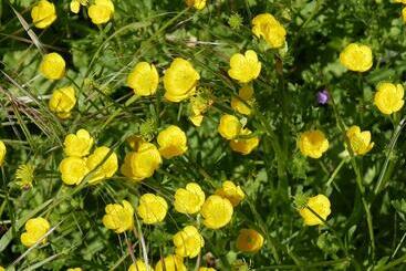 公寓式酒店  Villa Cavalletti Appartamenti