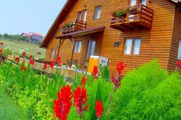 پانسیون Casa Altius Felix