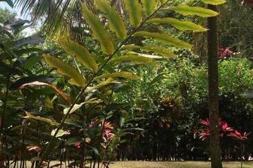 ペンション Vila Sofia Chalès