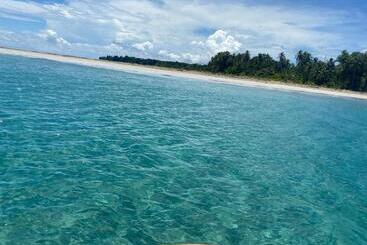 Hotel Caribbean View