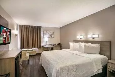 Отель Red Roof Inn Plus+ Boston   Logan