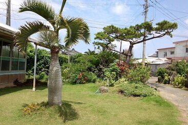 Pensiune Tetris Guest House Kunisato