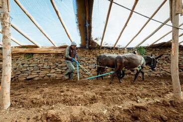Pensión Touda Ecolodge Atlas Mountains