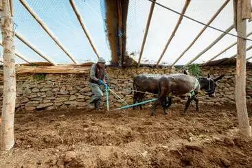 Majatalo Touda Ecolodge Atlas Mountains