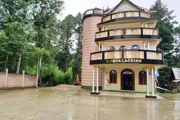 Resort Ziro Palace Inn