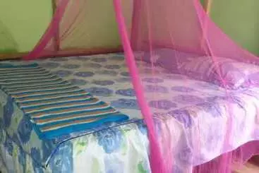 Aamiaismajoitus (B&B) Green Lodge Tangkahan