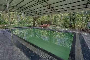 Hotel Yuhibuhi Forest Resort