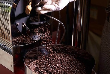 Casa Rural Matayoshi Coffee Farm