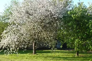 Mökkimajoitus Gîte Les Trempailles