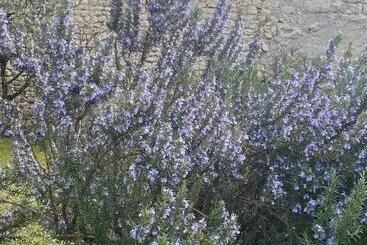 Bed and Breakfast Domaine De Pladuc