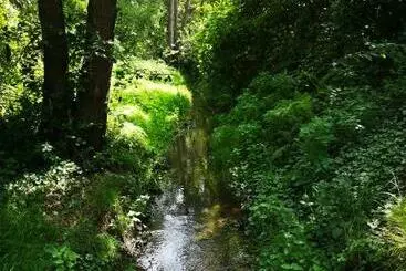 Bed and Breakfast De Eppenbeek