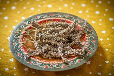 Bed and Breakfast La Belle Etoile