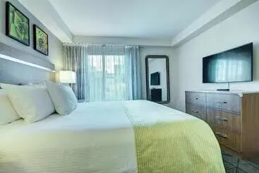 Hotel Desert Rose Resort