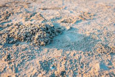 Hotel Baansuan Aokhai Beach Resort