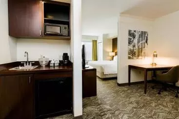 فندق Springhill Suites Florence