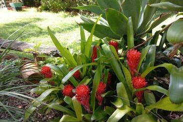 Bed and Breakfast Wondai Hideaway Apartment