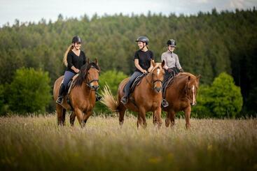 Hotel Landpension Pferdekoppel   B&b   Self Checkin