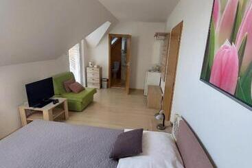 Penzión Skalná Ruža Kövirózsa Panzió