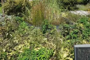 Bed & Breakfast Grotto Pergola