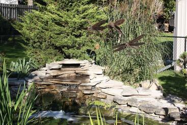 Carrousel Bed & Breakfast