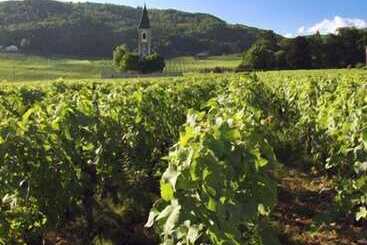 Otel Auberge Communale