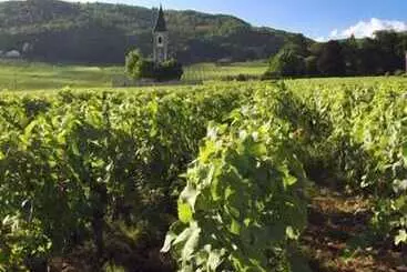 Hotel Auberge Communale