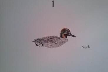 Hotel Logis Hôtel Restaurant Du Canard