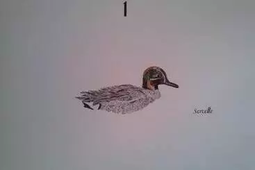 ホテル Logis   Hôtel Restaurant Du Canard