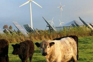 بنسيون Hof Noerreheede