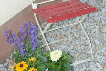 Bed and Breakfast Pension Brandner