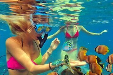 Bed and Breakfast Butterfly Bungalow