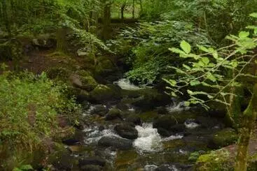 Landhus Secluded Meadow, Unique Shire Hut, Perfect Camping