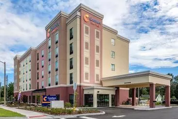 ホテル Comfort Suites Gainesville Near University