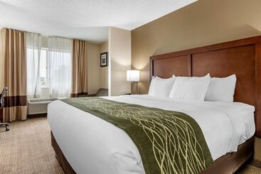 酒店 Comfort Inn & Suites Dimondale   Lansing