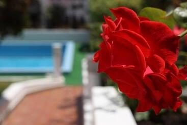 Canico Bay Apartments