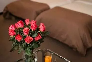 בית מלון כפרי Cosmopolit