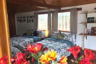 Bed & Breakfast La Isabela Estancia Ecuestre