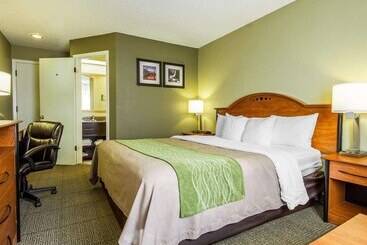 בית מלון כפרי Comfort Inn Modesto