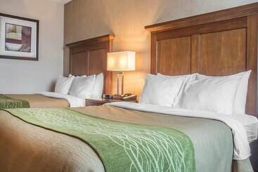 Szálloda Comfort Inn