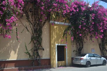 בית מלון כפרי Gracelane