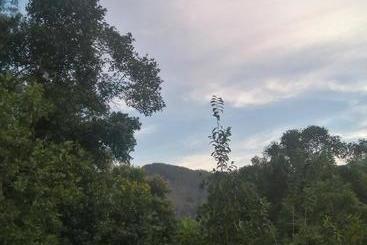 Общежитие Ella Foret Accommodation