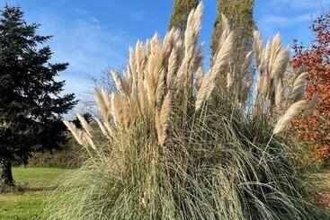 Bed and Breakfast Clos De La Source