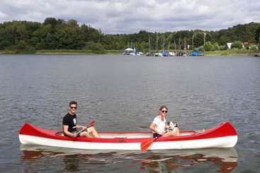 فندق صغير Gasthaus Zum Frohsinn