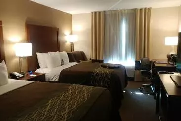 Szálloda Comfort Inn Airport