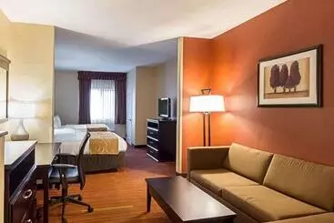 Hotel Comfort Suites Airport